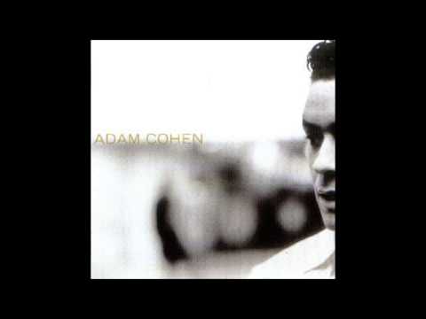 Текст песни Adam Cohen - This Pain