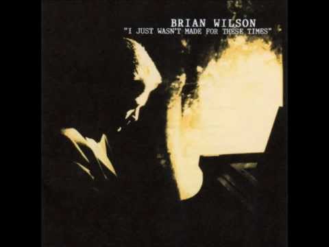 Текст песни Brian Wilson - Meant For You