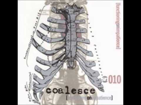 Текст песни Coalesce - You Can