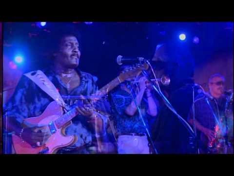 Текст песни Albert Collins - Too Many Dirty Dishes