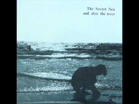 Текст песни And also the trees - The Secret Sea