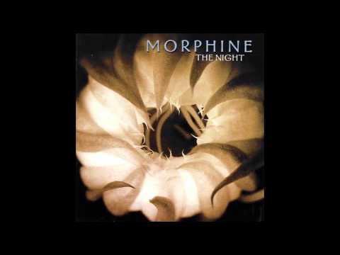Текст песни Morphine - The Night