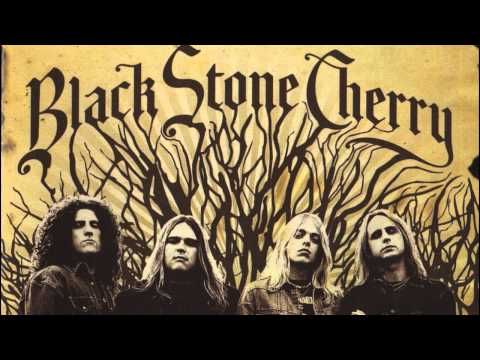 Текст песни Black Stone Cherry - Shapes Of Things