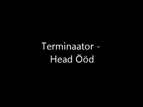 Текст песни Terminaator - Head ööd