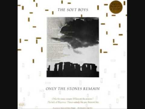 Текст песни The Soft Boys - Theres Nobody Like You