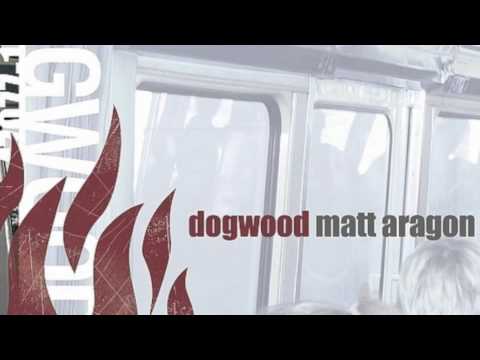 Текст песни Dogwood - For What it