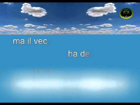 Текст песни Salvatore Adamo - Che Funerale