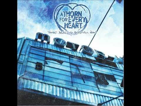 Текст песни A Thorn For Every Heart - February