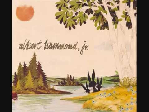 Текст песни Albert Hammond Jr. - Blue Skies