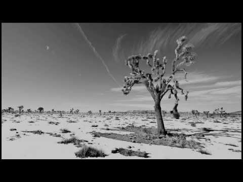 Текст песни  - Desert