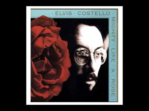 Текст песни Elvis Costello - Harpies Bizarre