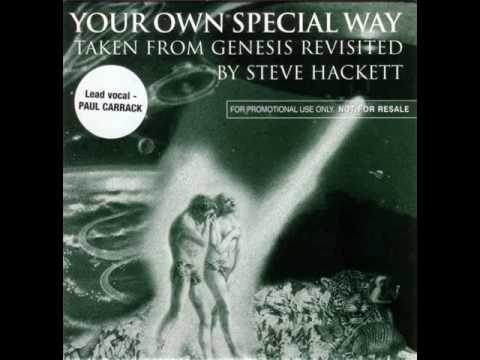 Текст песни Steve Hackett - Your Own Special Way