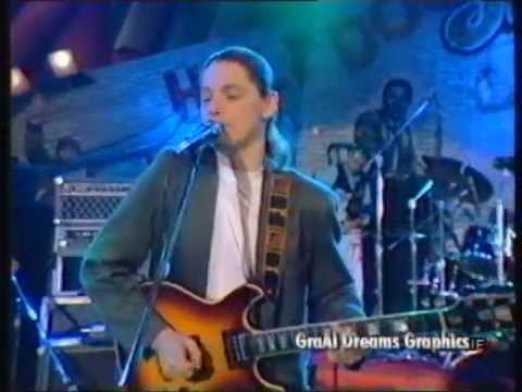 Текст песни Robben Ford - Aint Got Nothin But The Blues