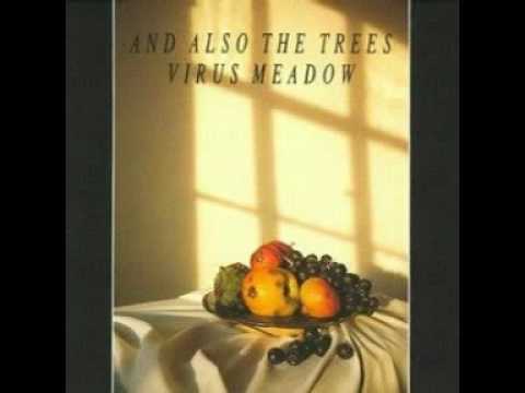 Текст песни And also the trees - Headless Clay Woman