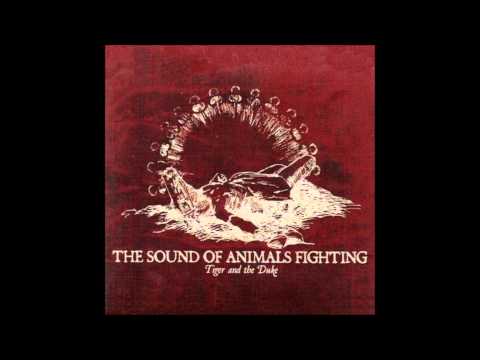 Текст песни The Sound Of Animals Fighting - Act IV: You Don