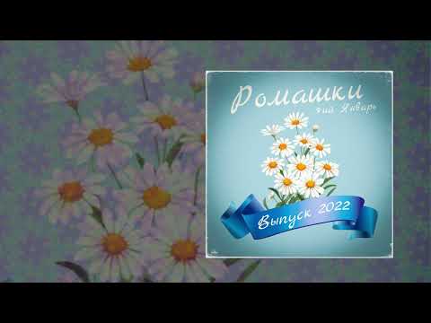Текст песни 3-ий Январь - Ромашки