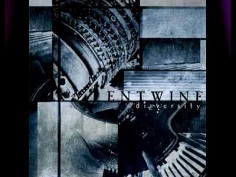 Текст песни Entwine - Still Remains