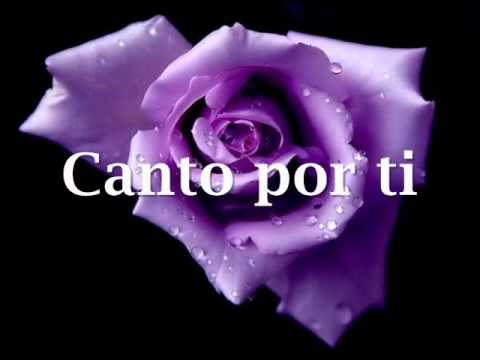 Текст песни Alex Campos - Te Quiero