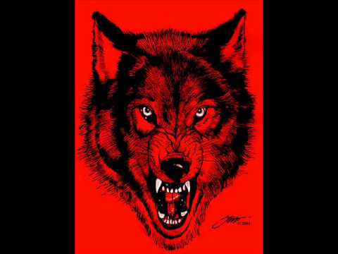 Текст песни nWo - Dont turn your back on the Wolfpack