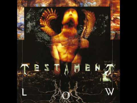 Текст песни Testament - Hail Mary