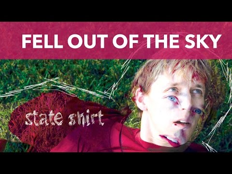 Текст песни State Shirt - Fell Out Of The Sky