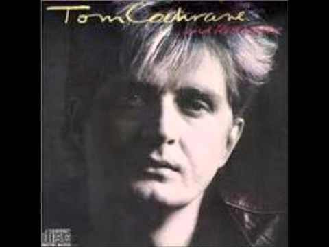 Текст песни Tom Cochrane - Flowers In The Concrete
