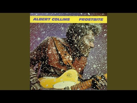 Текст песни Albert Collins - I Got A Problem