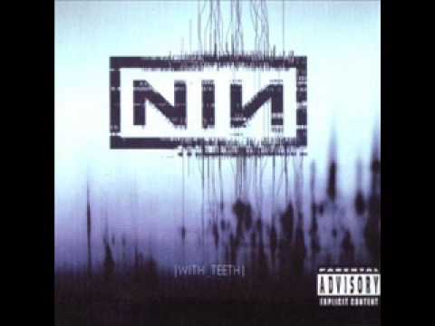 Текст песни Nine Inch Nails - All The Love In The World With Teeth 