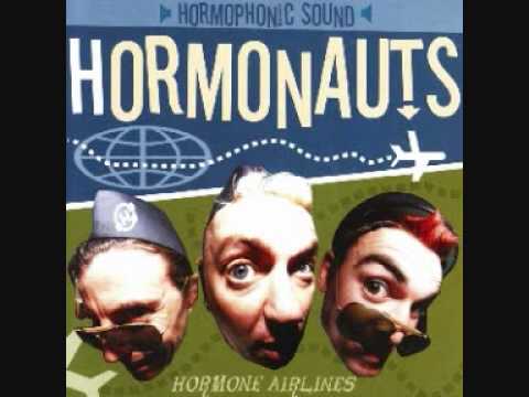 Текст песни The Hormonauts - I Wish You Well
