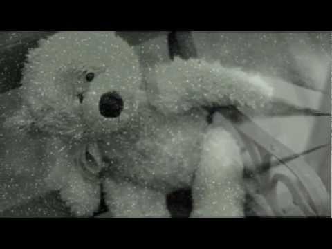 Текст песни  - your favourite toy