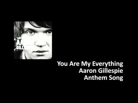 Текст песни Aaron Gillespie - You Are My Everything