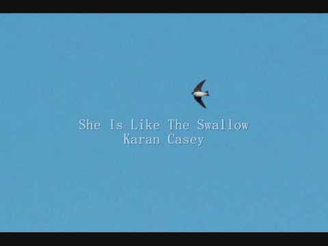 Текст песни  - She Is Like The Swallow