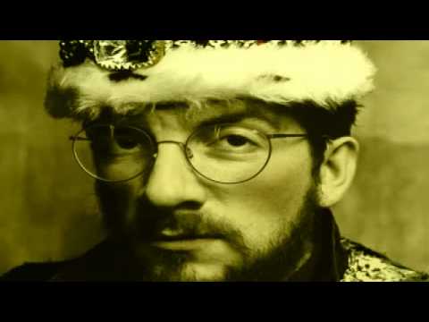 Текст песни Elvis Costello - Brilliant Mistake