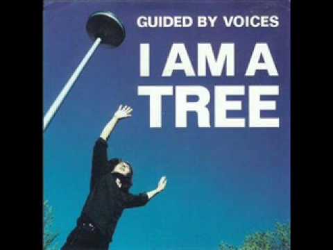 Текст песни Guided By Voices - I Am A Tree