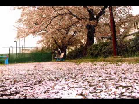Текст песни  - Sakura