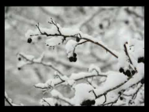 Текст песни Чёрный кофе - Крещенский снег