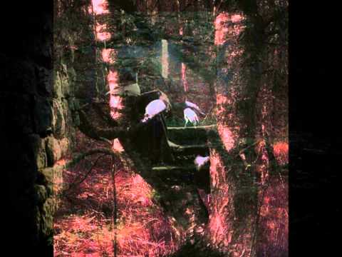 Текст песни Sopor Aeternus - The Innocence Of Devils-Alone By Edgar Allan Poe