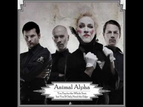 Текст песни Animal Alpha - Alarm