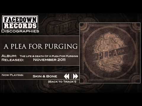 Текст песни A Plea For Purging - Skin  Bones