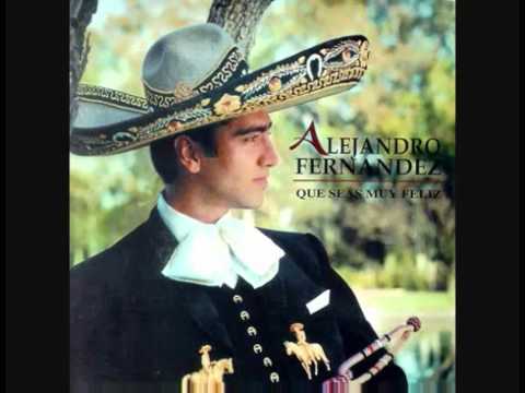 Текст песни Alejandro Fernandez - Que Seas Muy Feliz