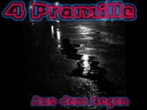 Текст песни 4 Promille - Aus Dem Regen