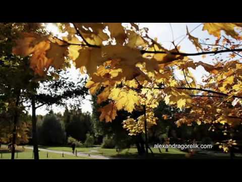 Текст песни Застольные песни - Осенние листья