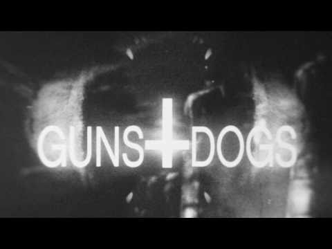 Текст песни  - Guns And Dogs
