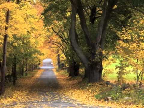 Текст песни Cheryl Wheeler - When Fall Comes to New England
