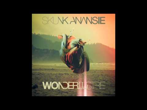 Текст песни Skunk Anansie - I Will Stay But You Should Leave