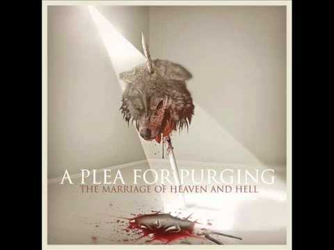 Текст песни A Plea For Purging - Finite