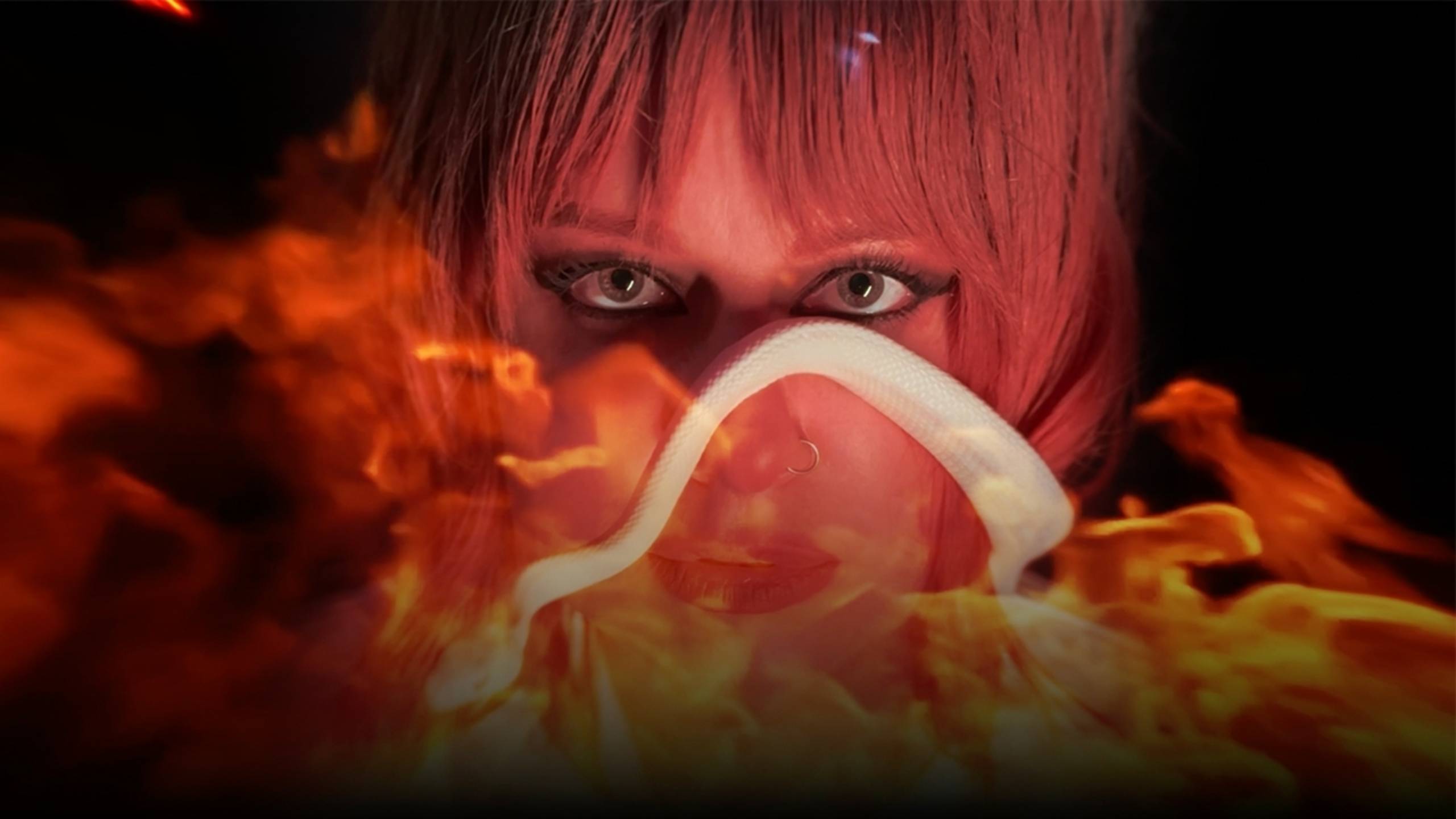 Текст песни  - Бабочка