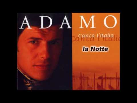 Текст песни Adamo - La Notte