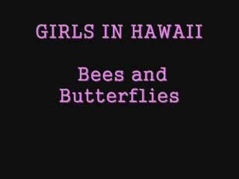 Текст песни  - Bees And Butterflies