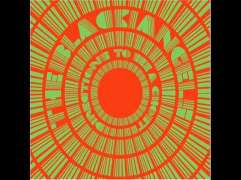 Текст песни The Black Angels - Snake In The Grass
